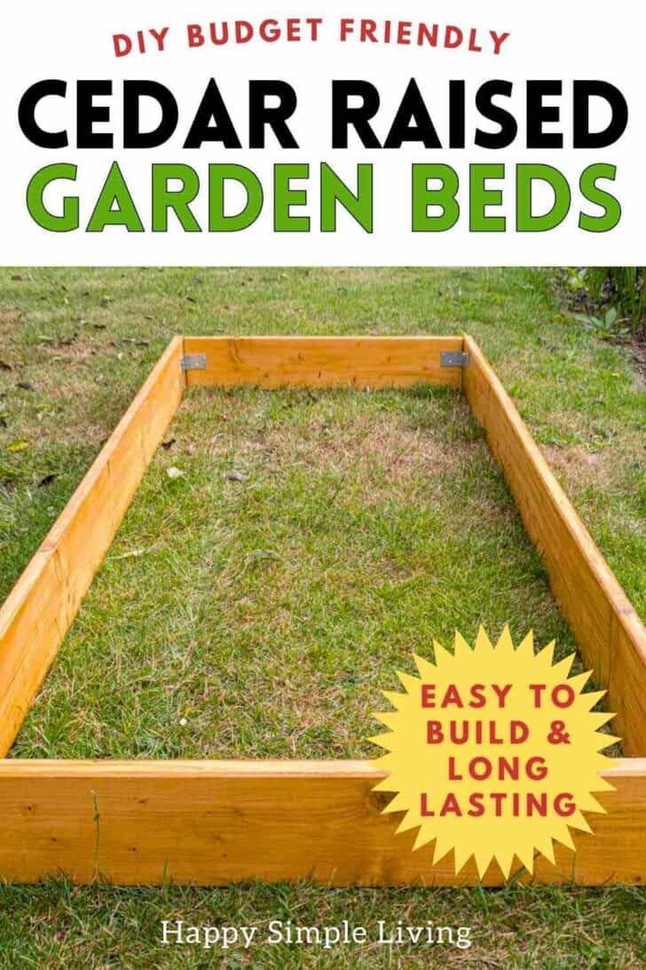 A simple DIY raised garden bed made from cedar lumber.