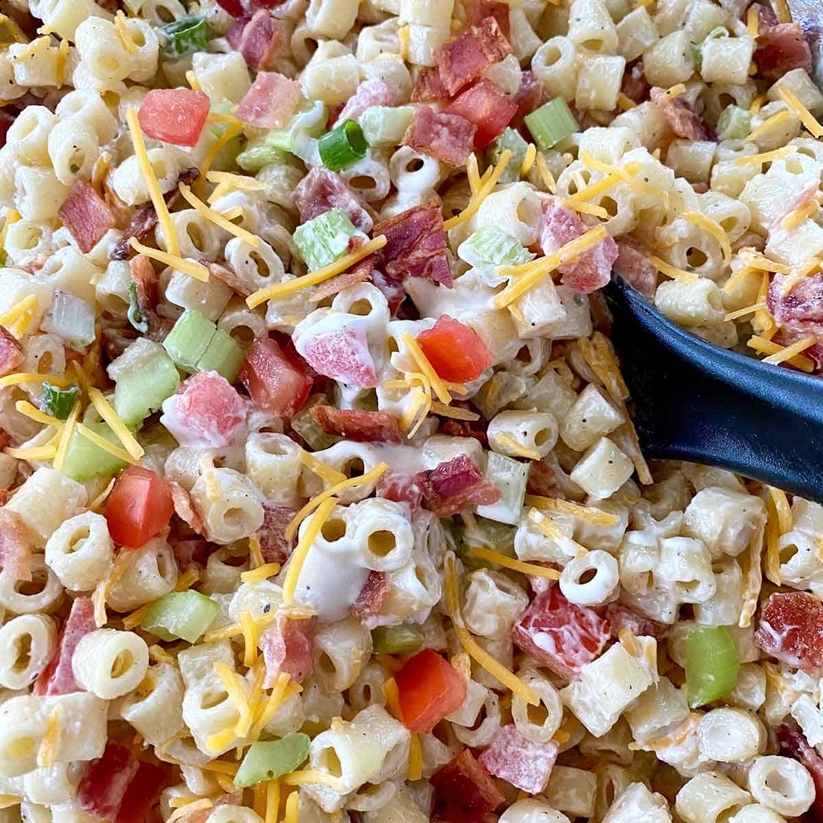 Close up of macaroni salad with bacon, tomato, celery, cheese, and balsamic ranch dressing.