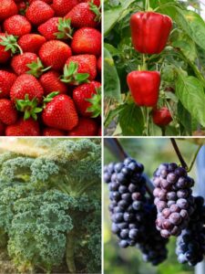 Strawberries, red bell peppers, grapes and kale.