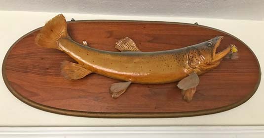 taxidermy fish