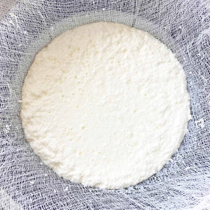 Ricotta starting to form after liquid is drained from it.