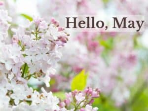 White and pale pink lilacs with text reading Hello, May.