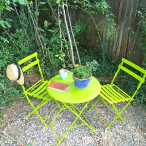 A hidden garden we created from an overgrown spot in our back yard.