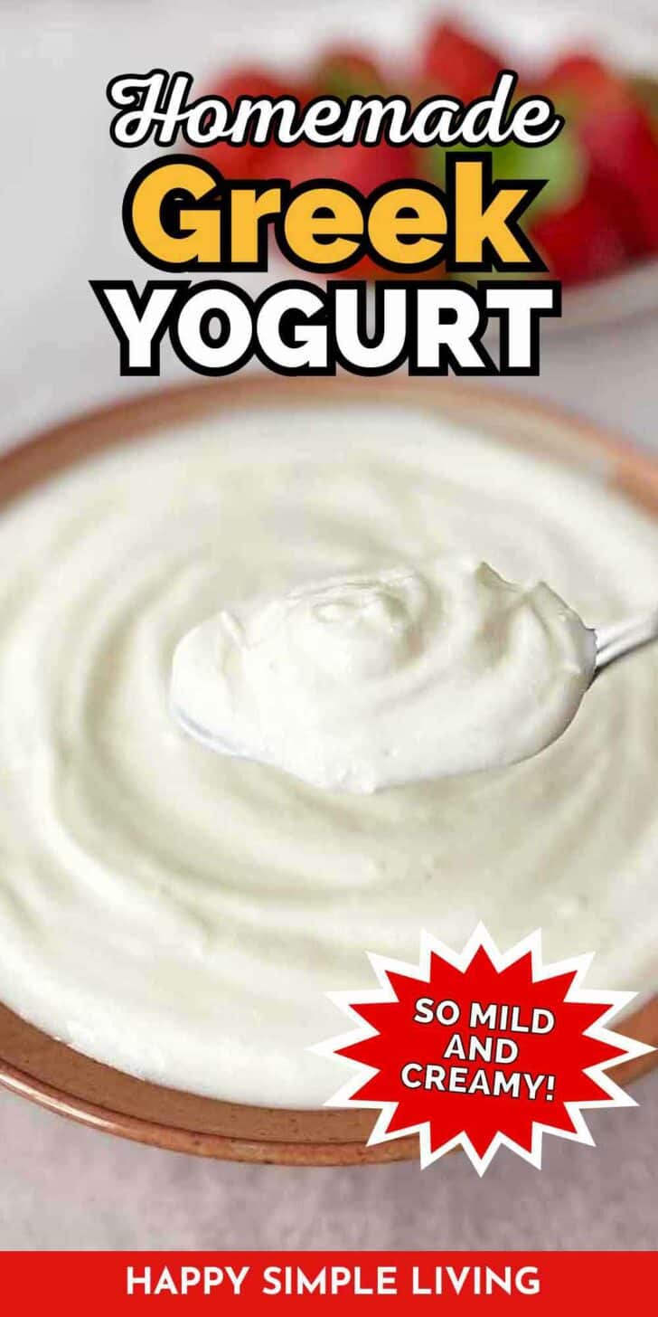 A bowl of homemade Greek yogurt with a spoon.