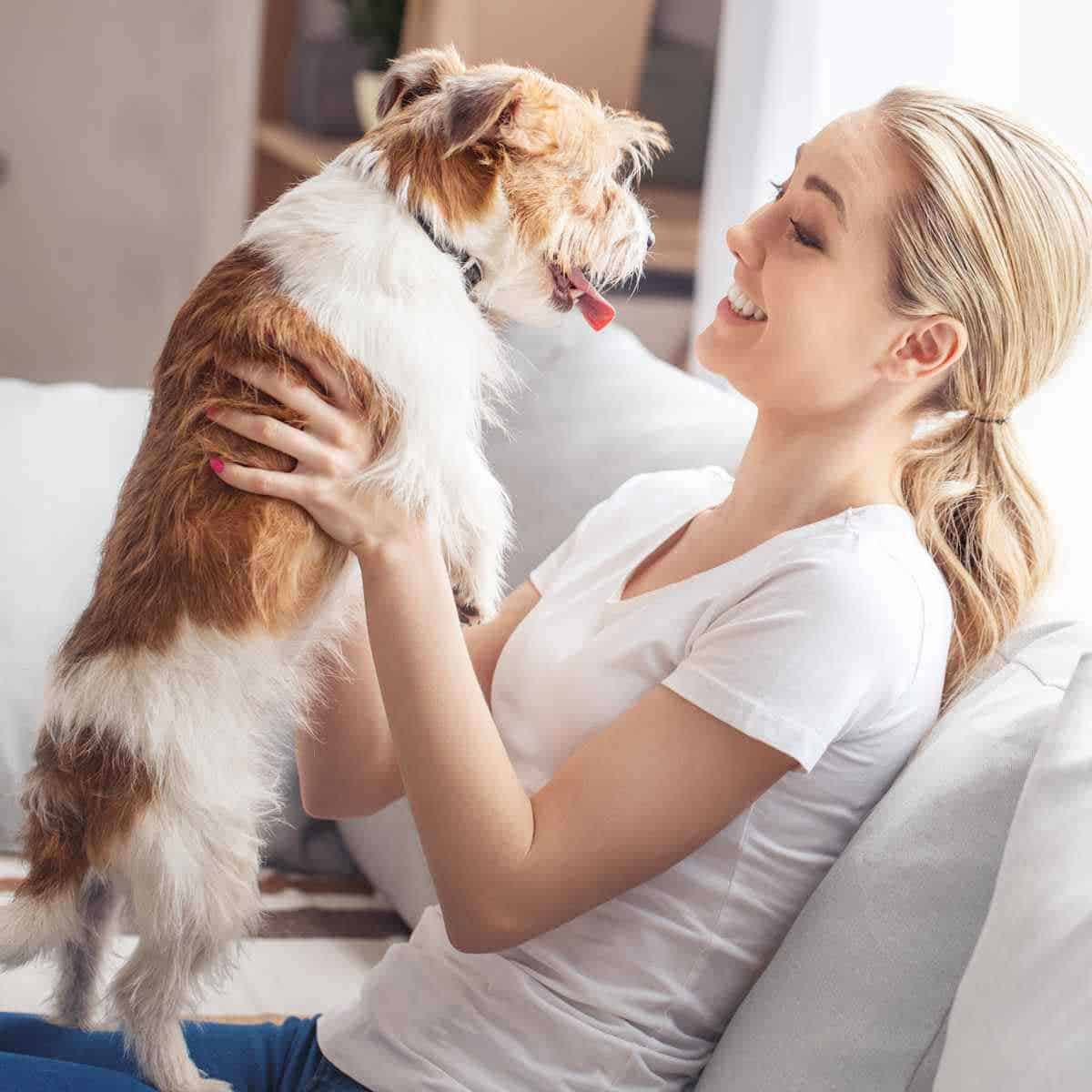 A woman on a couch smiling and holding a cute dog.