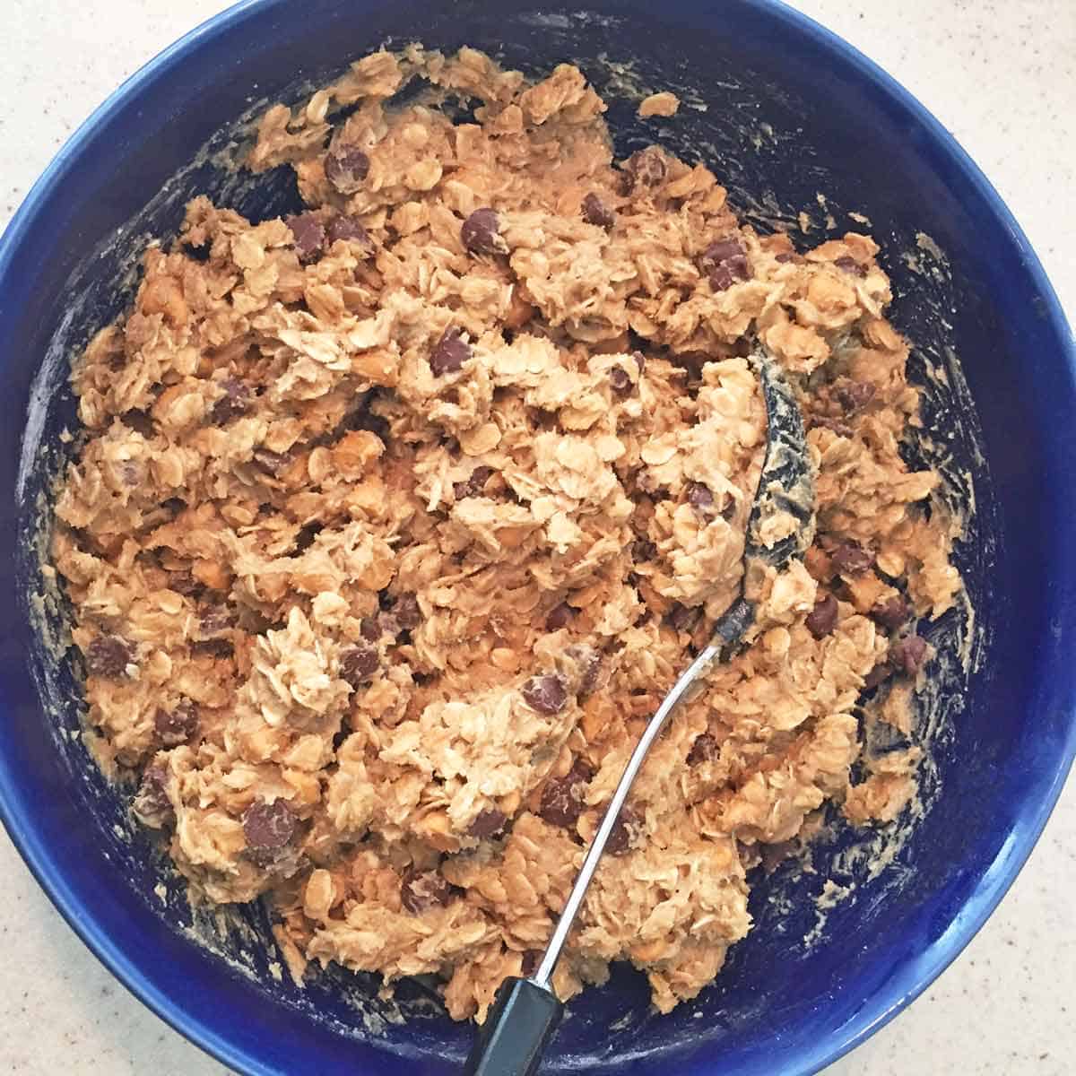 A bowl of butterscotch chocolate chip oatmeal cookie dough.