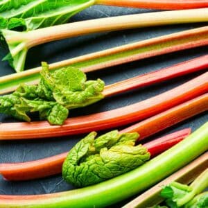 Dark red and bright green rhubarb stalks.