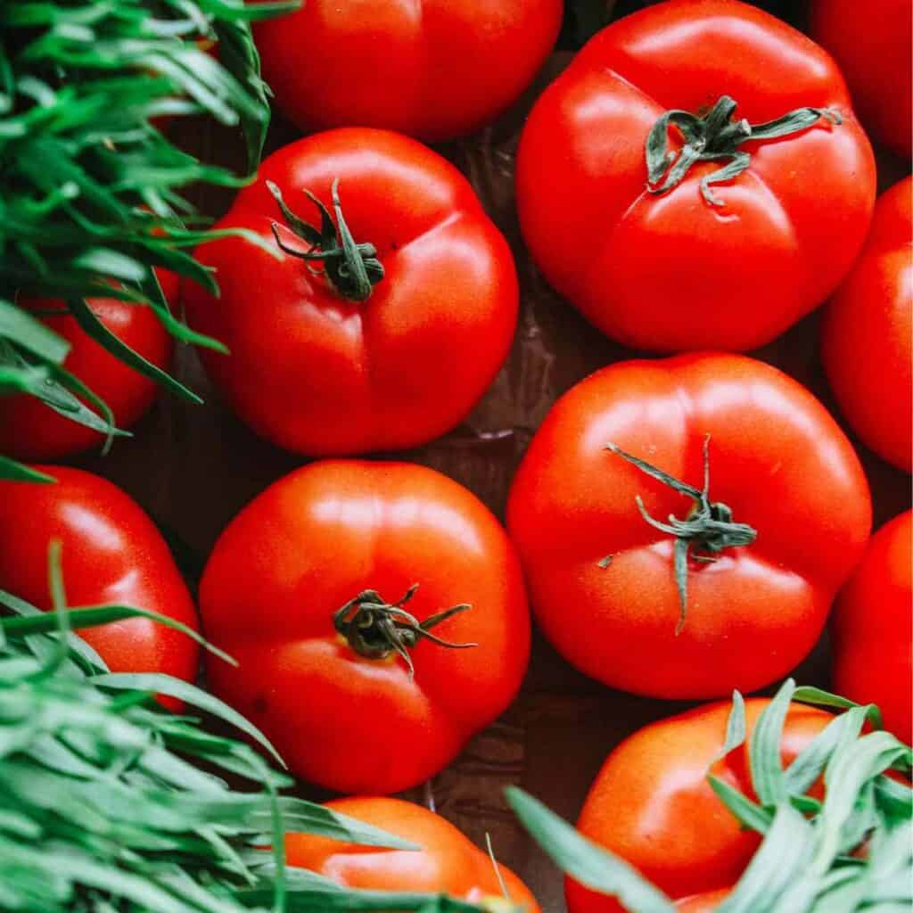 9 ripe garden grown tomatoes.