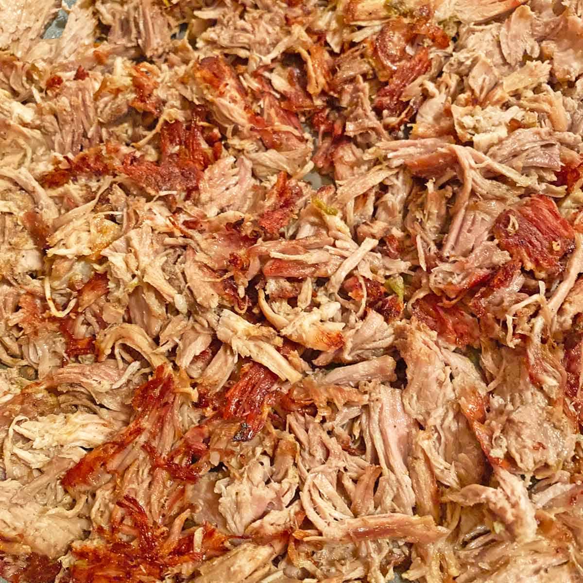 Pan fried Mexican Carnitas, shown up close.