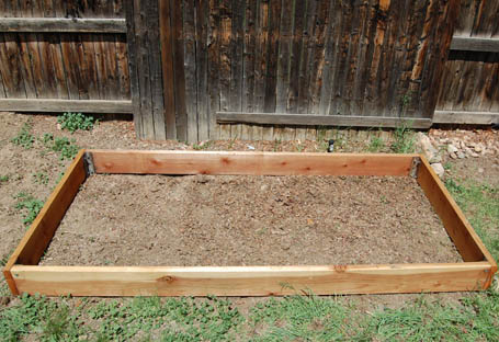 Cedar raised garden just after being built.